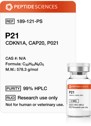 p21 peptide