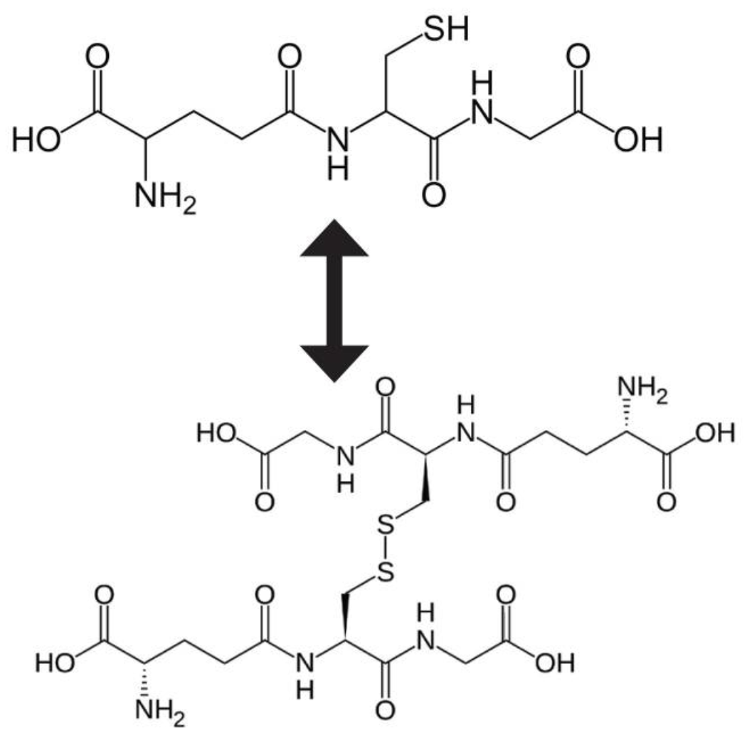 What is Glutathione? How Does it Work?