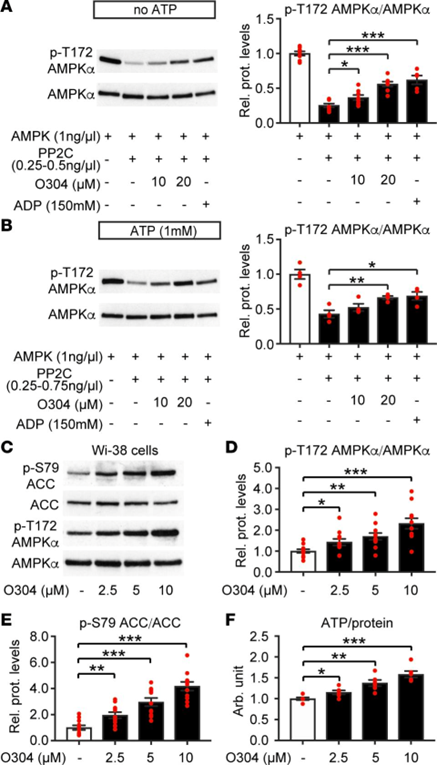 ATX-304 Glucose Reduction