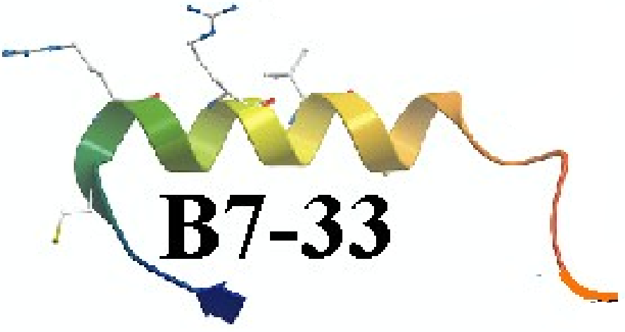 B7-33