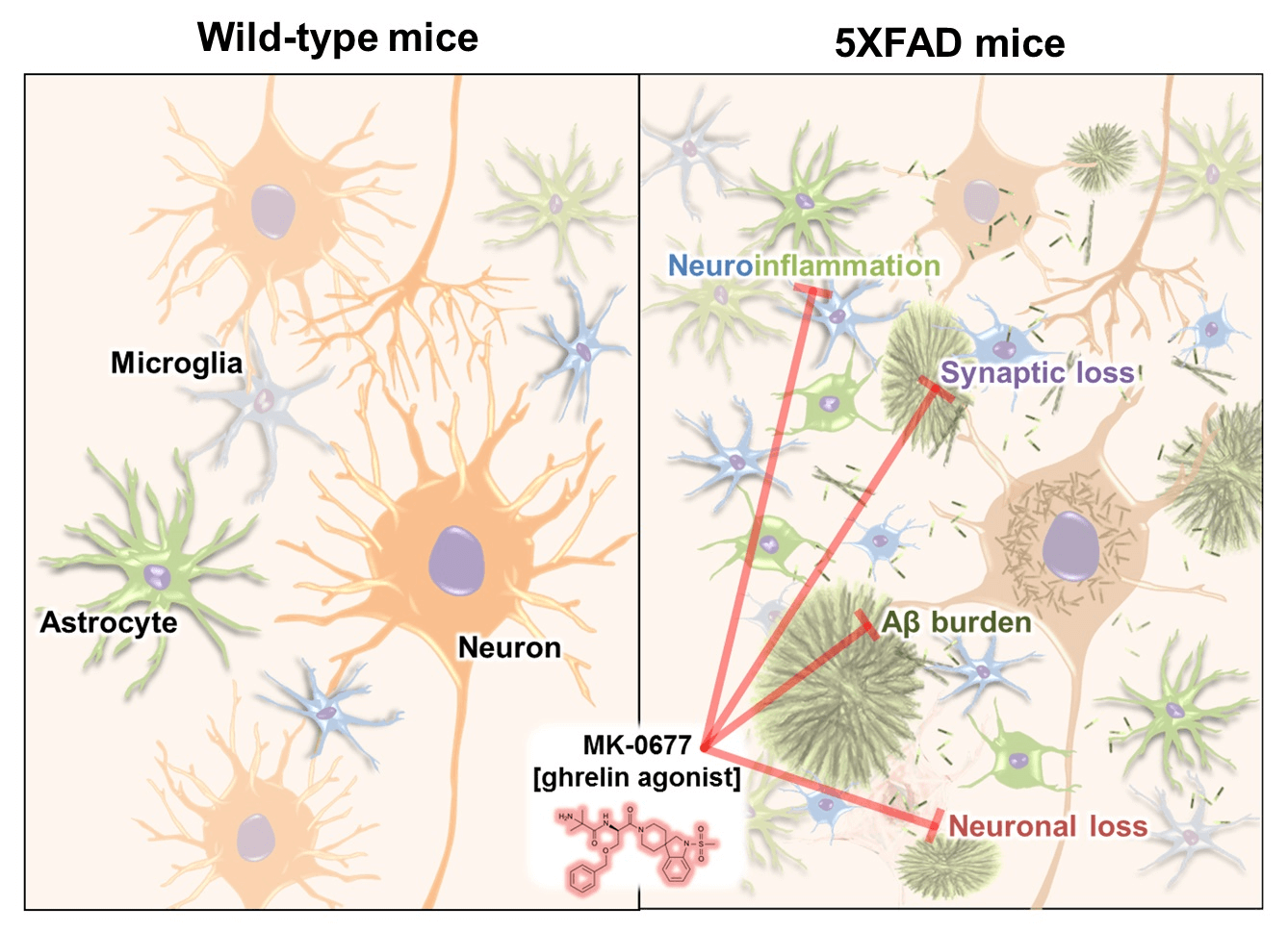 Neurological