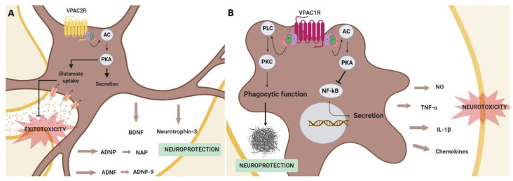 Mechanism