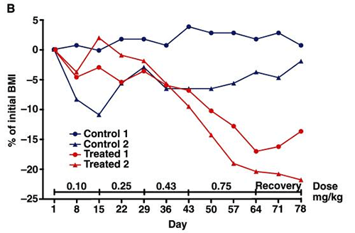 Adipotide Causes Fat Loss