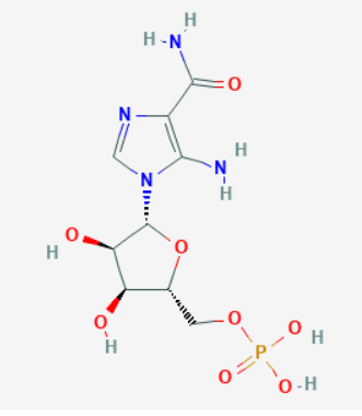 AICAR Structure