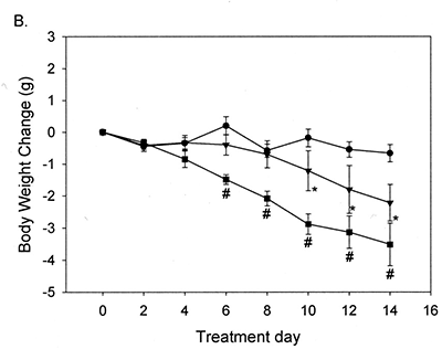 Body weight change in obese mice over 14-day treatment period with AOD9604 (squares), HGH (triangles), and placebo (circles).