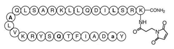 CJC-1295-DAC Structure