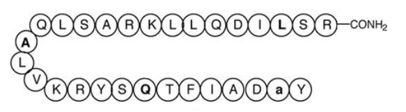 CJC-1295 Structure