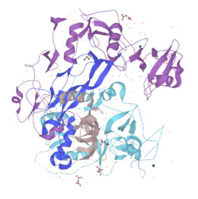 Structure of the unedited (full-sized) follistatin protein