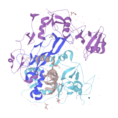 Follistatin 344 Structure