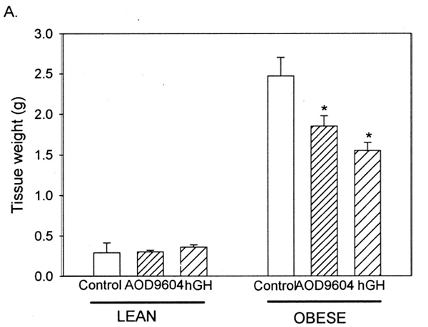 Efeito da solução salina (controle), fragmento 176-191 e hGH na massa de tecido adiposo branco em camundongos obesos durante 14 dias
