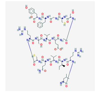 Fragment 176-191 Peptide Structure