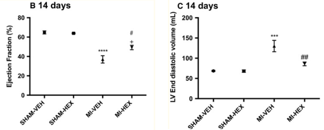 Size of damage following heart attack at 24 hours and 14 days in rats treated with standard care or standard care plus hexarelin.