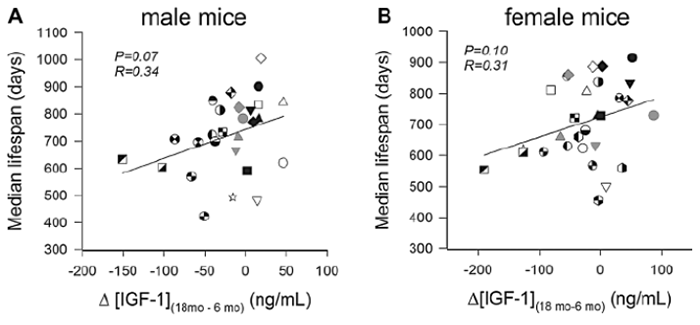 Lifespan of male and female mice is correlated with IGF-1 levels.