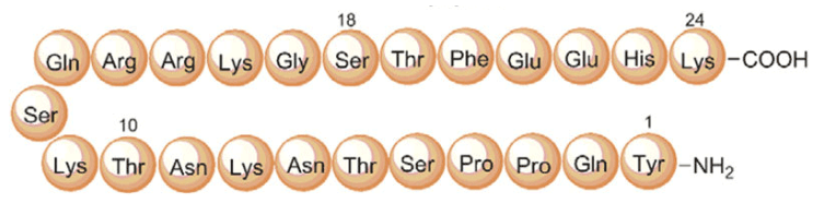 Primary sequence of MGF