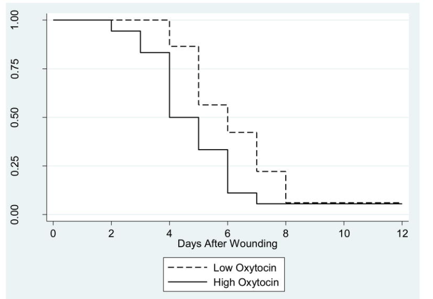 Comparison of time to escape a maze in male (A) and female (B) mice under stress. Oxytocin returns escape latency to near the same levels of controls, apparently offsetting some of the learning deficits caused by stress.