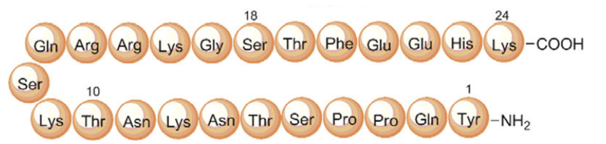 PEG-MGF Structure